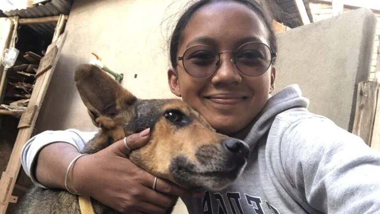 Životinje koje je Gasy Animal Aid zbrinuo u skloništu u Ambatofotsyju